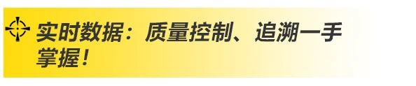 上A黄金甲