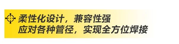 上A黄金甲
